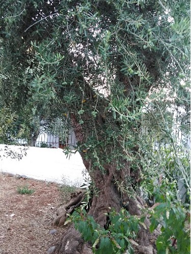 greece house for sale